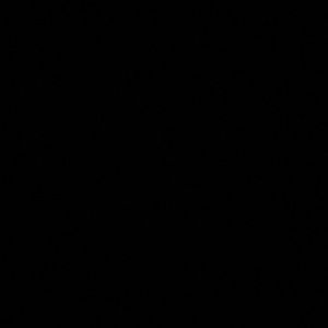 Meet your Posher, Frankie